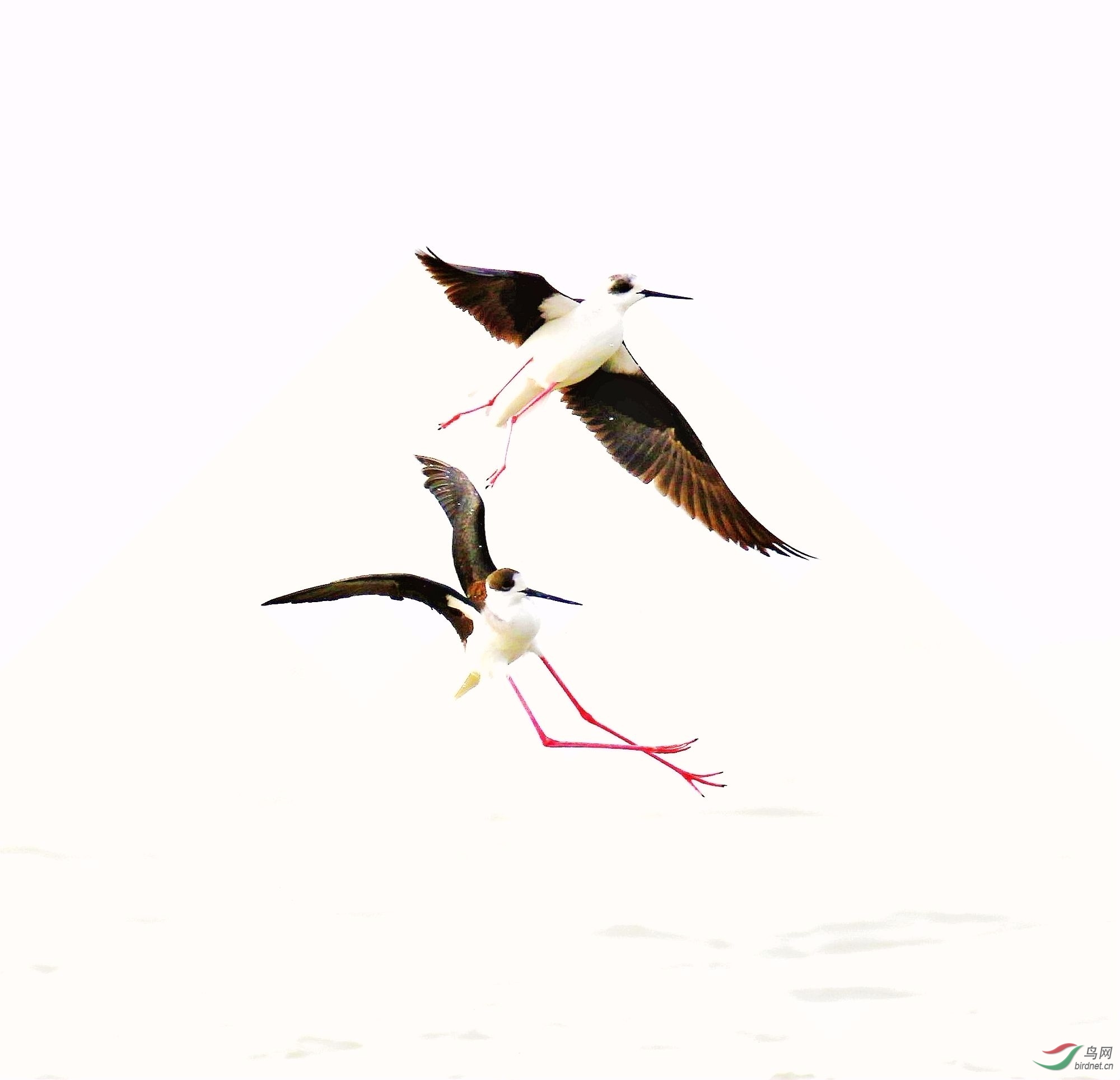 _MGL6840_2000.jpg