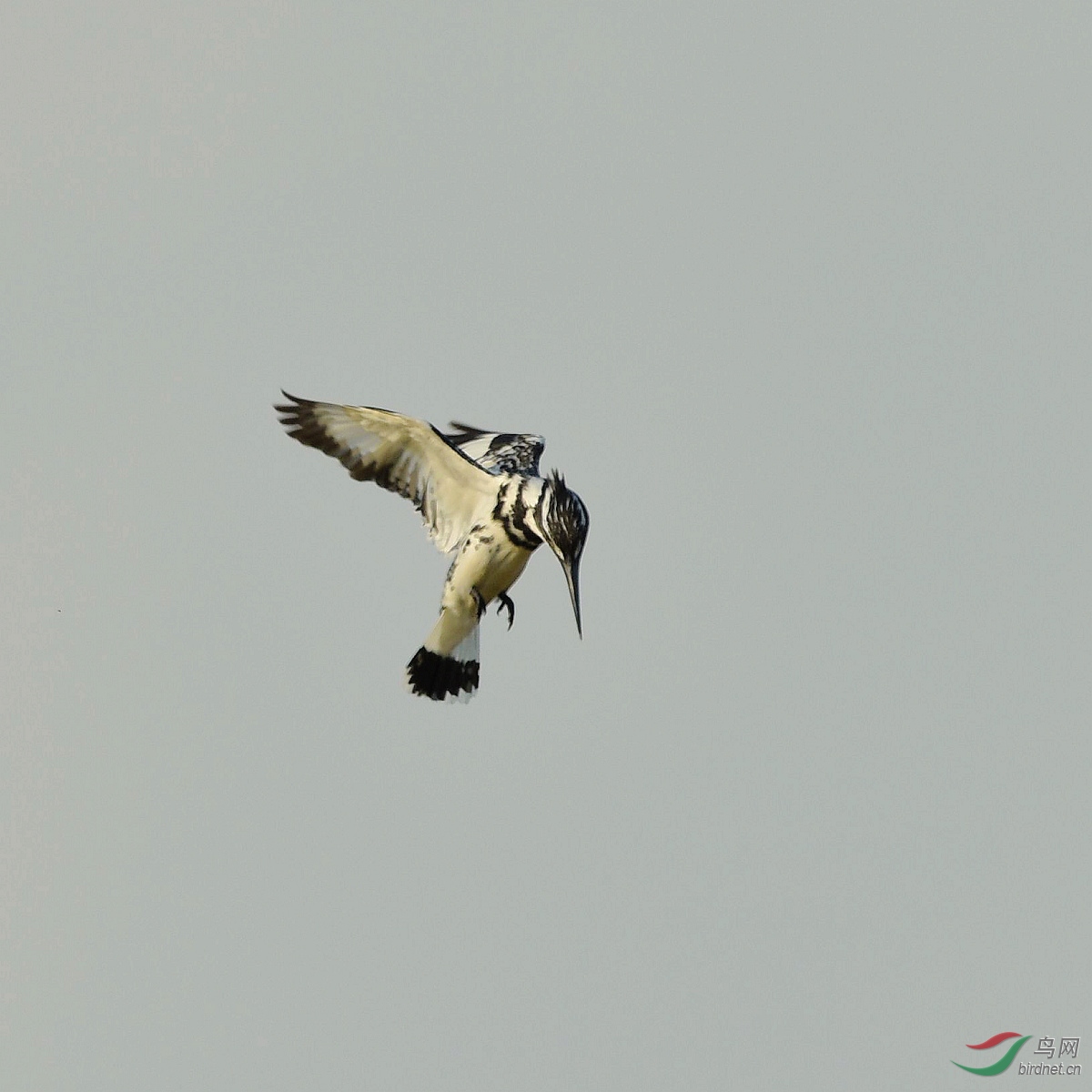 D8I_6351.jpg