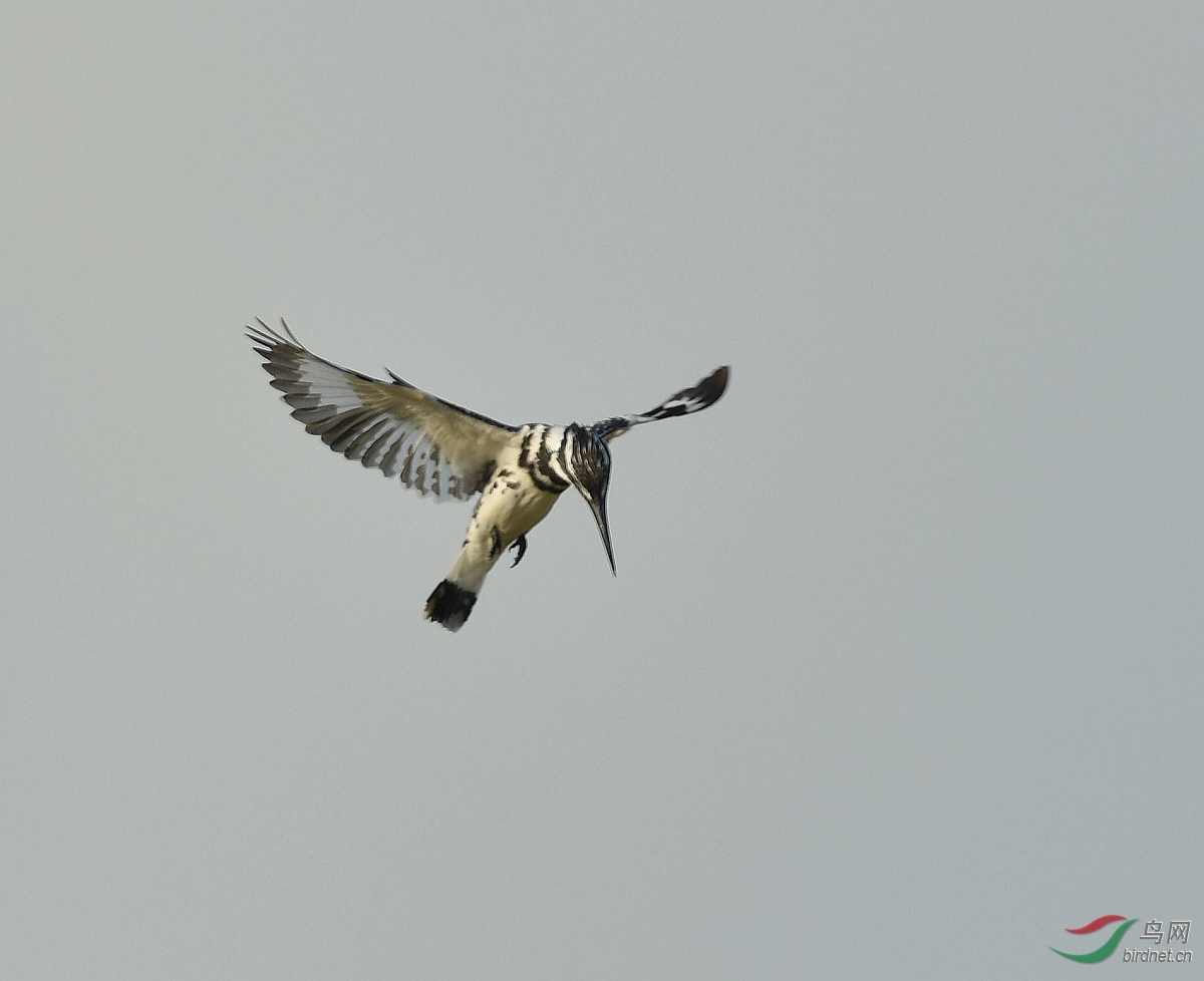 D8I_6354.jpg
