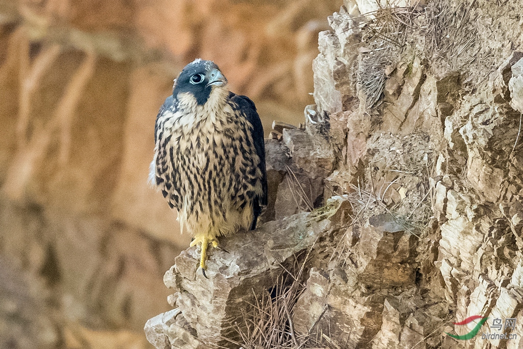 _K8I3546  01_����.jpg