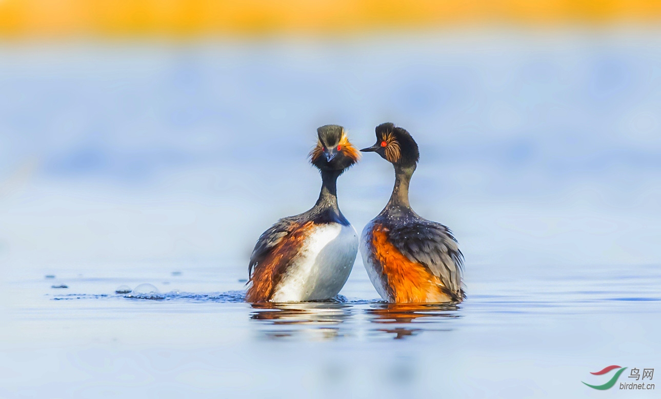 A40I7414banma _����.jpg