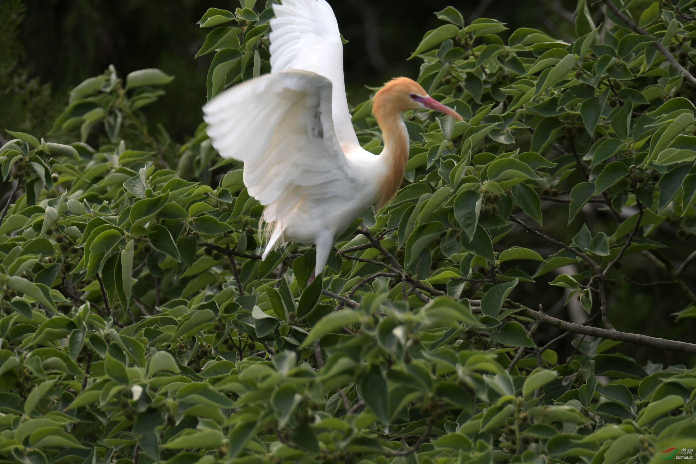 D50_2210.jpg