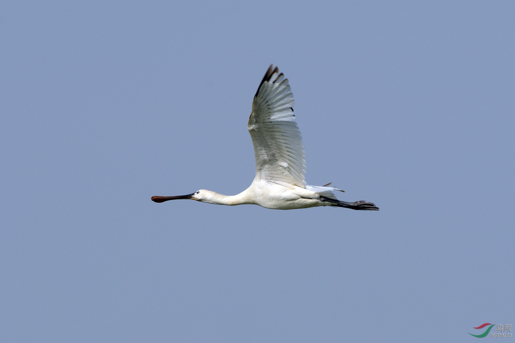 D50_2300.jpg