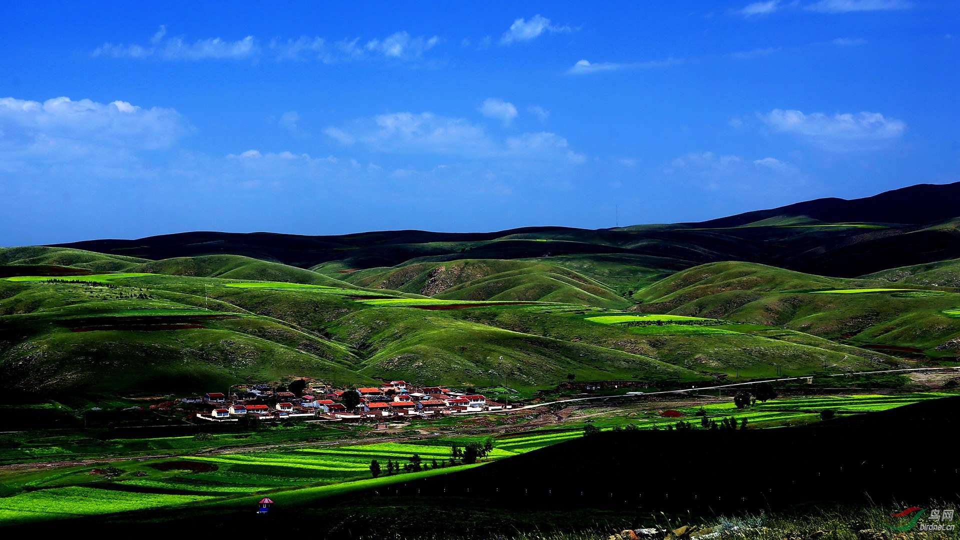 摄于内蒙古武川县德胜营.谢谢老师浏览!