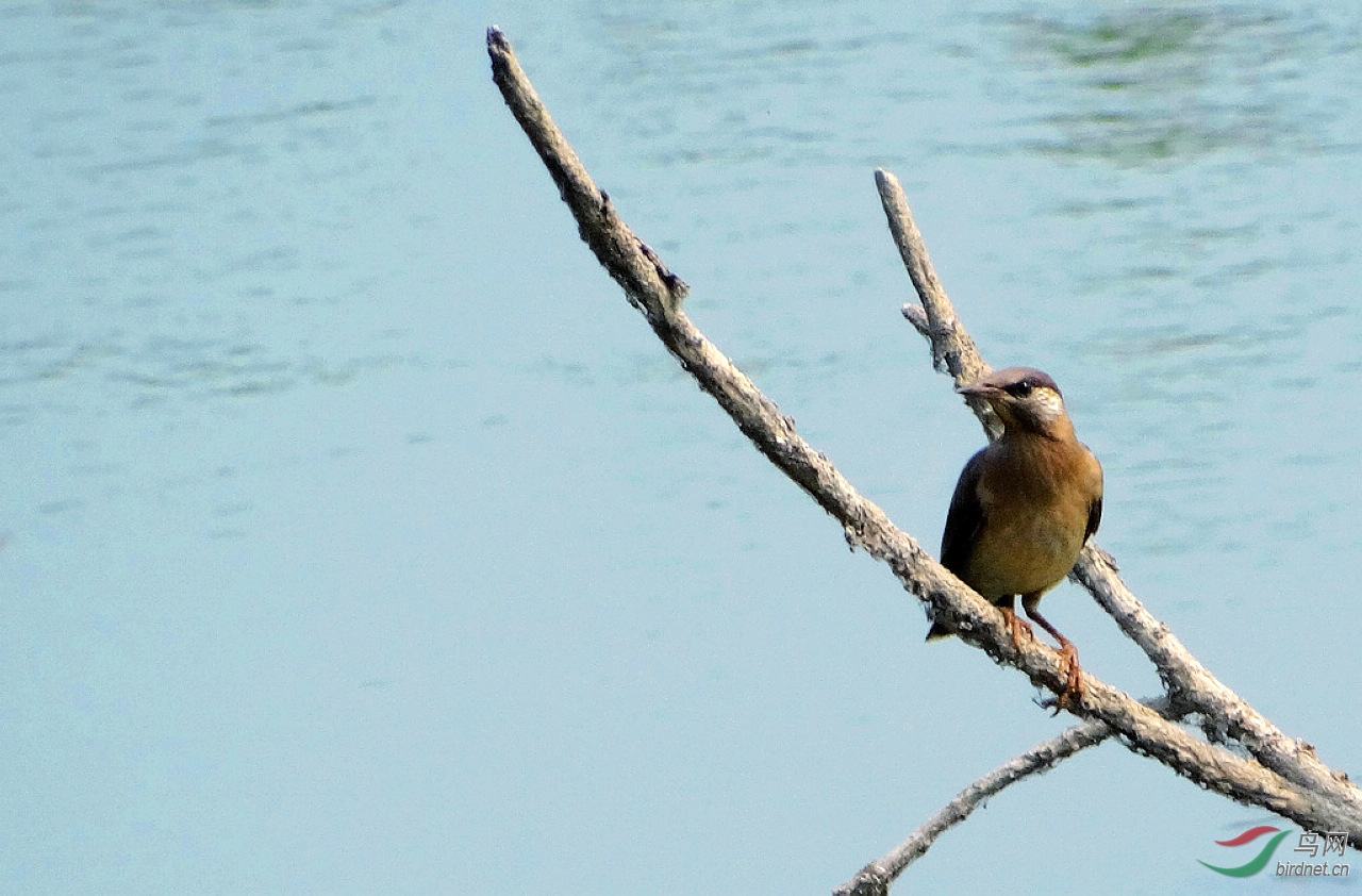 DSC04106.JPG