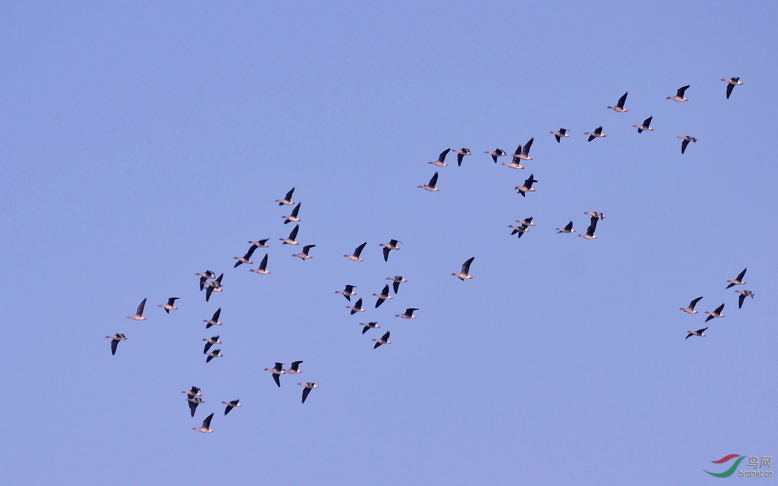 DSC_1892.JPG