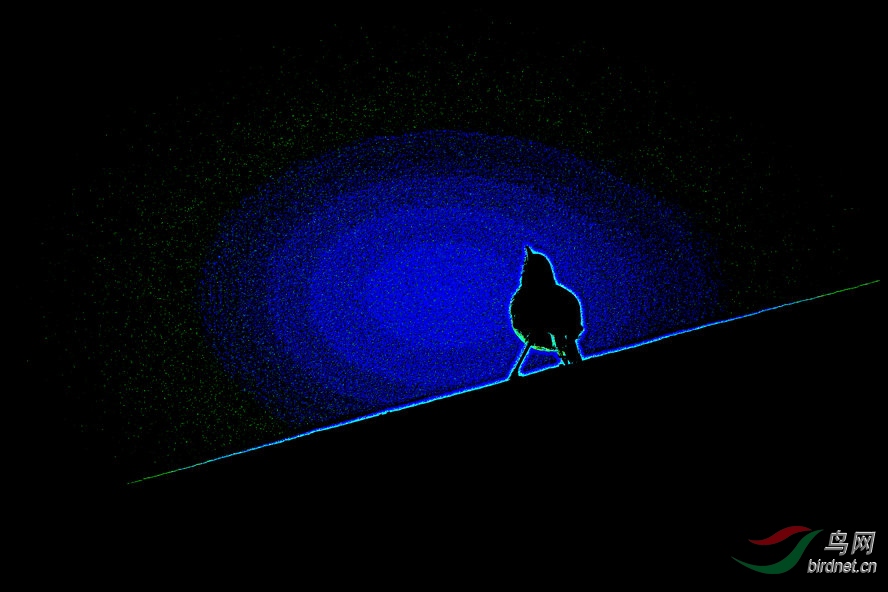 4K0A4435_����_����.jpg