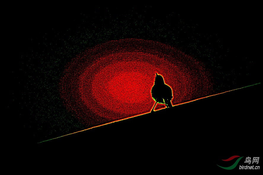 4K0A4435_����_����1_����.jpg