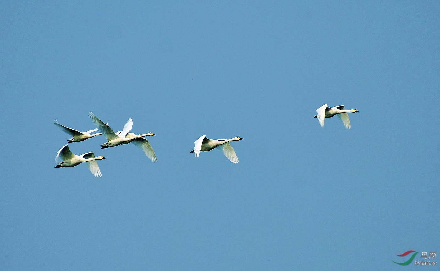 DSC_9780.JPG