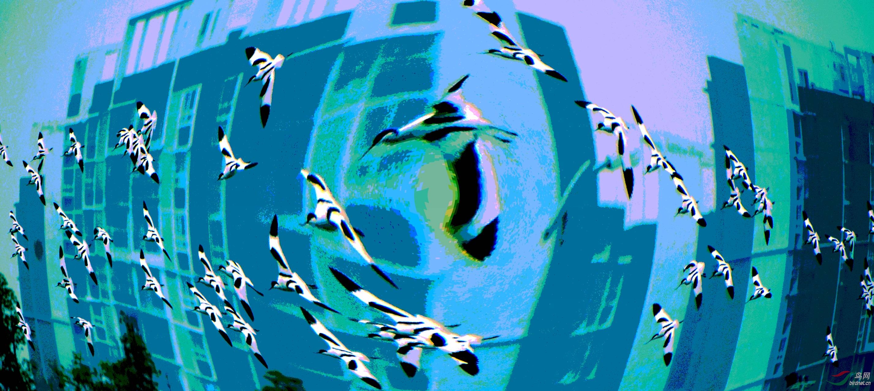 DSC_8366_conew1.jpg