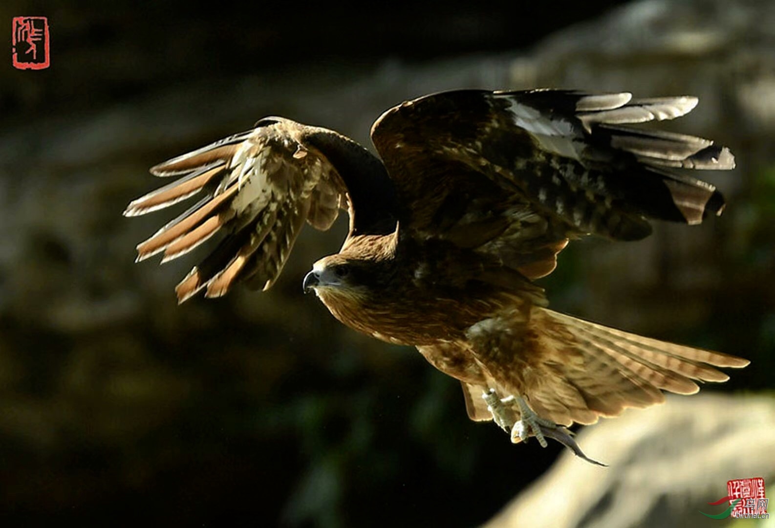 BC16C8FA-2F05-4AB7-BFB4-3CE9B469632A.jpeg