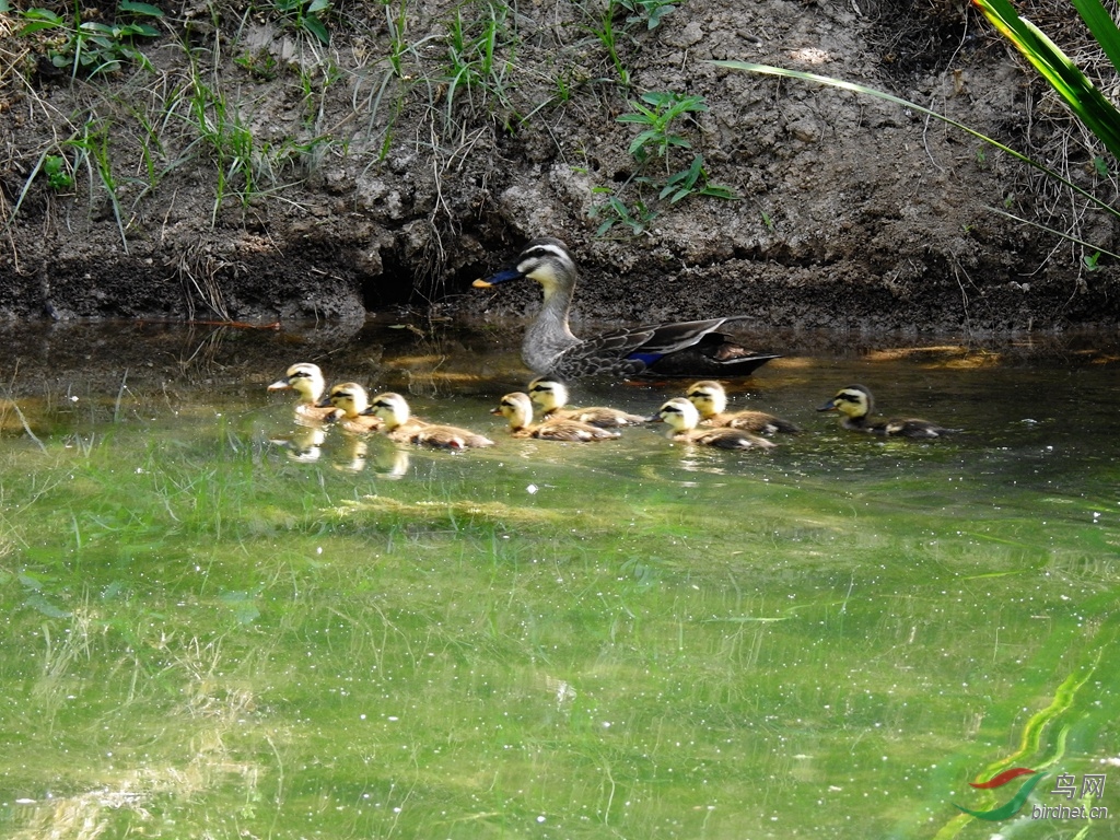 DSCN7054.JPG.jpg