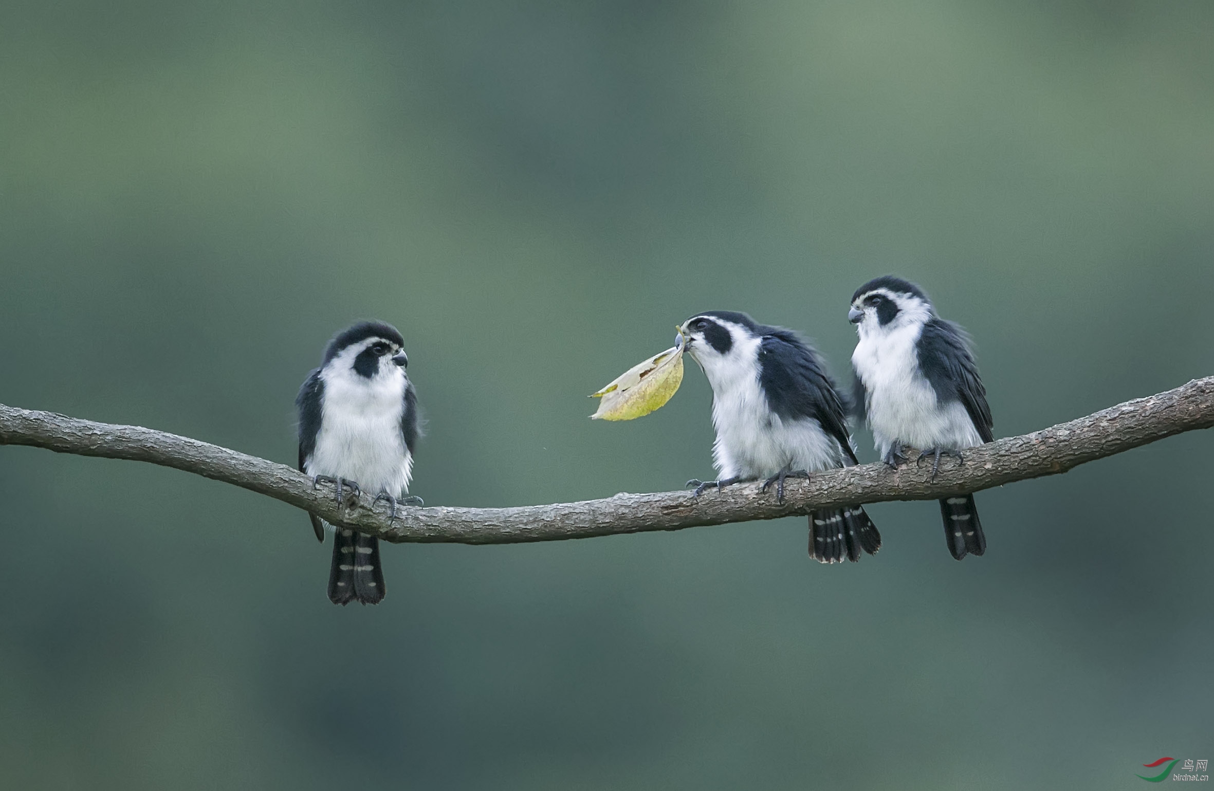 BT1I4402.-.jpg) (2).jpg