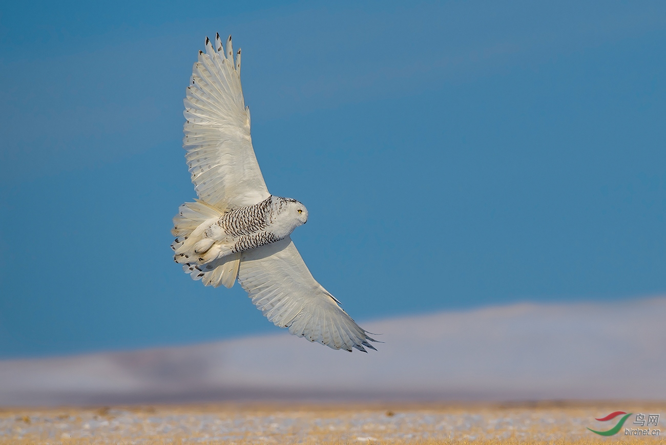 DSC_8869.jpg