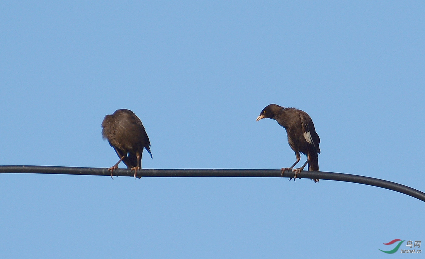 DSC_6891.JPG