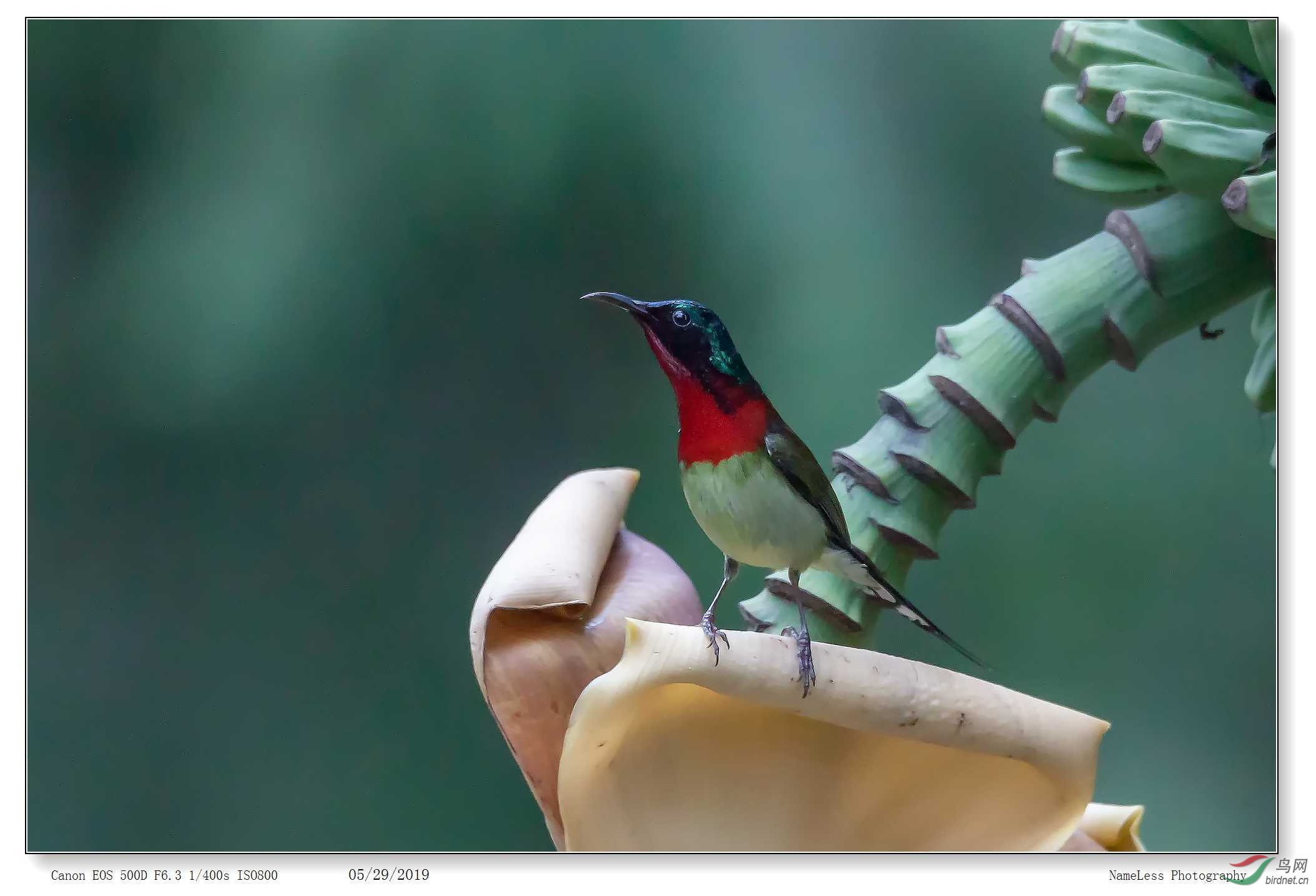 IMG_9674 ����.jpg