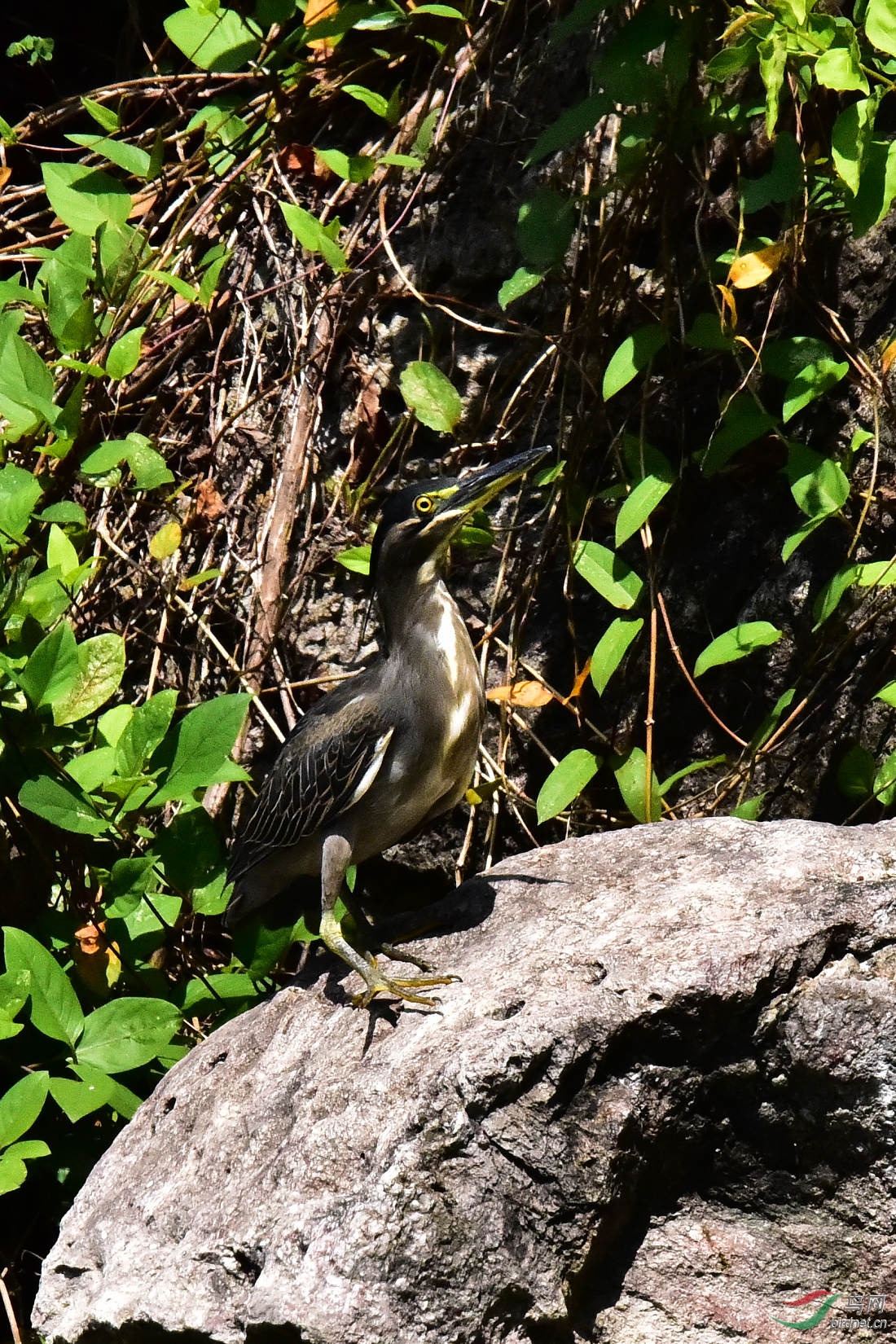 DSC_0265.JPG