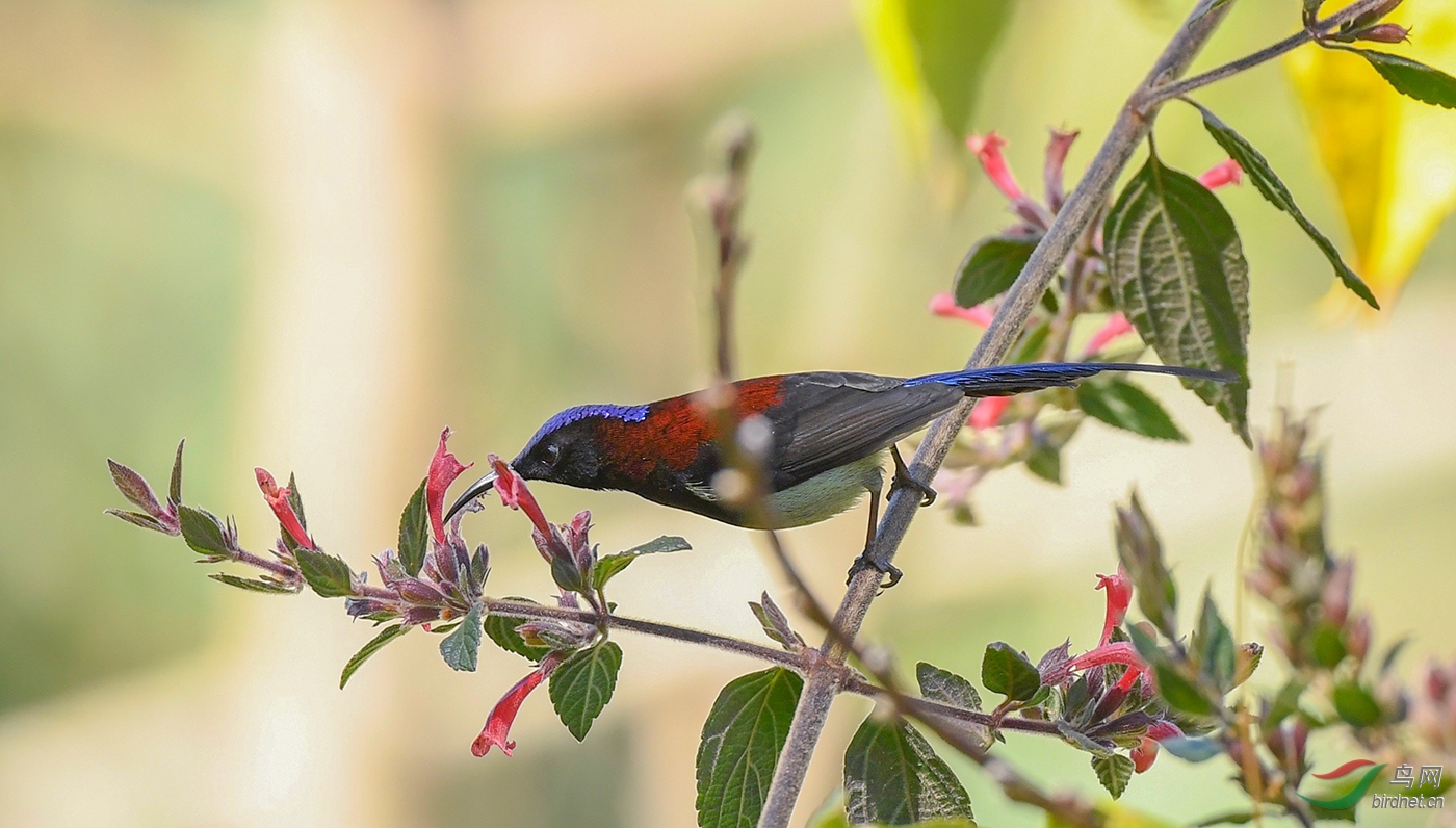 DSC_8234.jpg