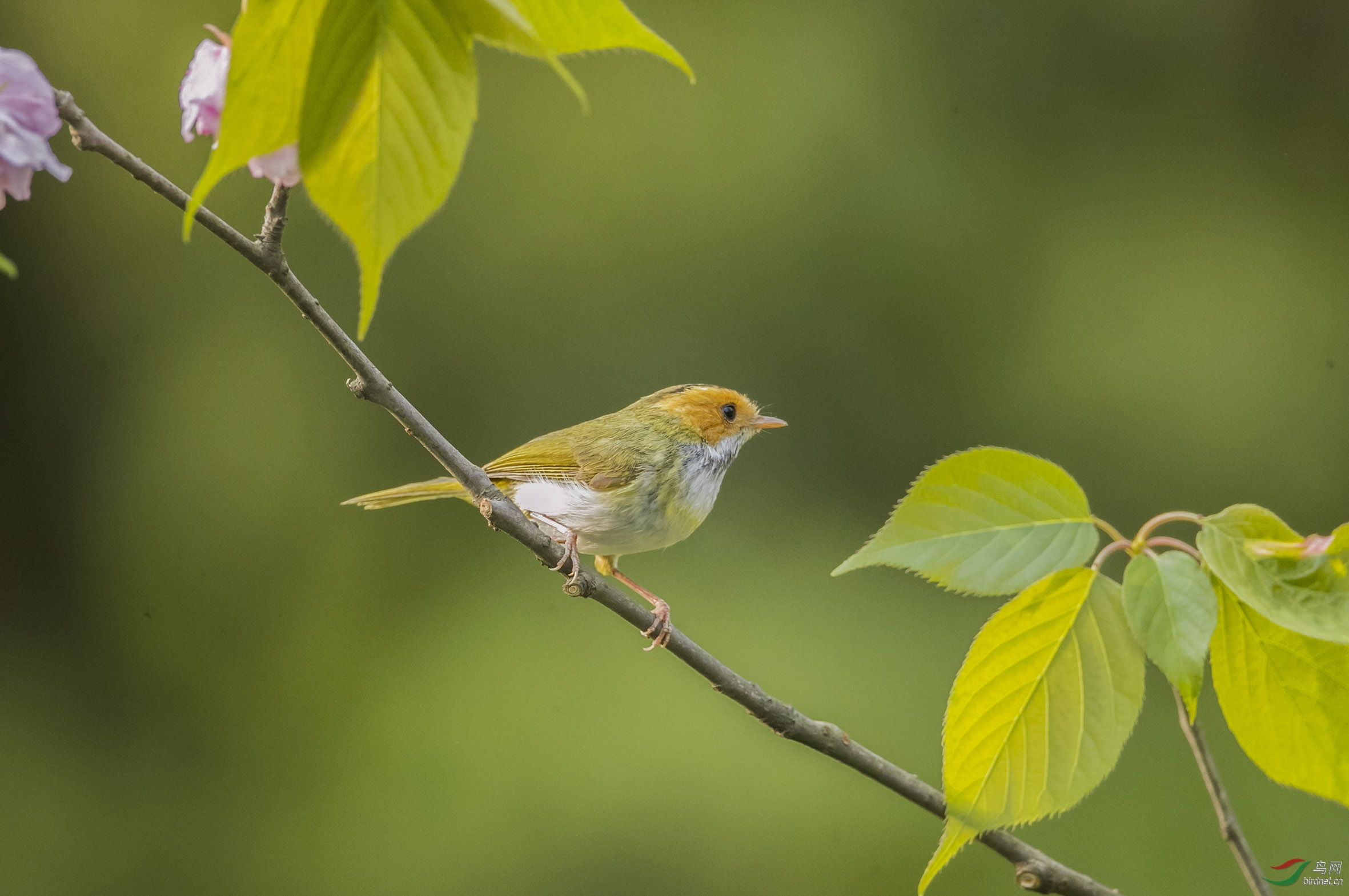 BT1I0538-1�� (5).jpg