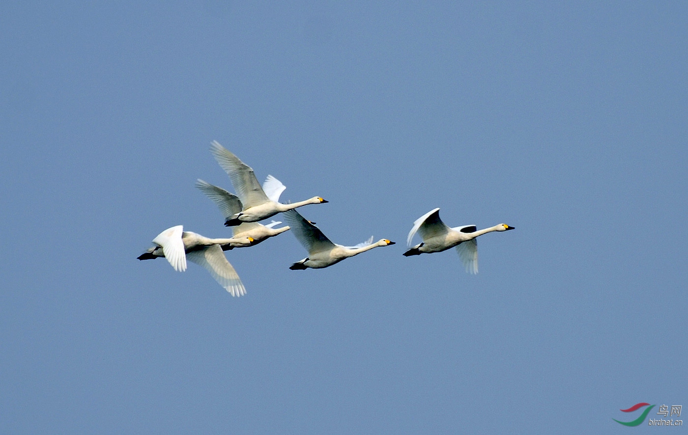 DSC_9782.JPG