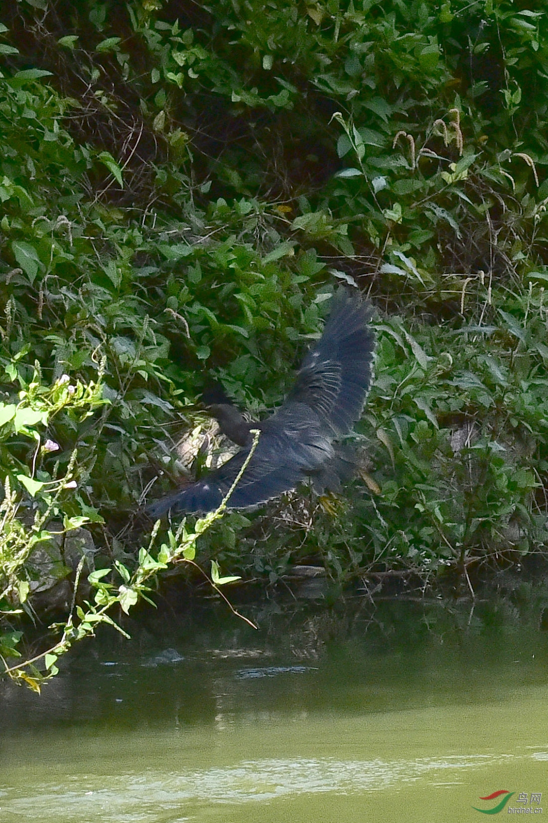 DSC_0271.JPG
