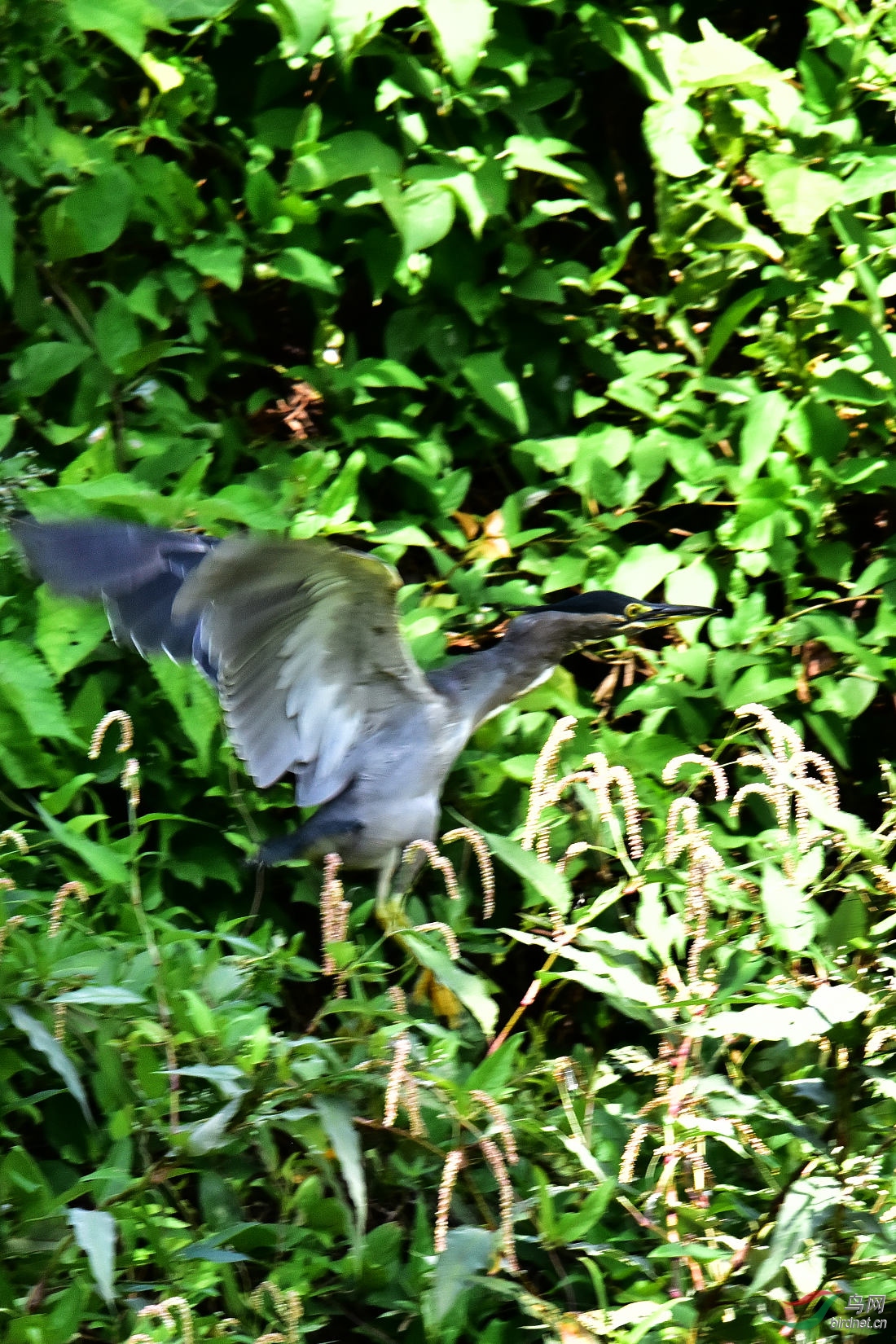 DSC_0275.JPG