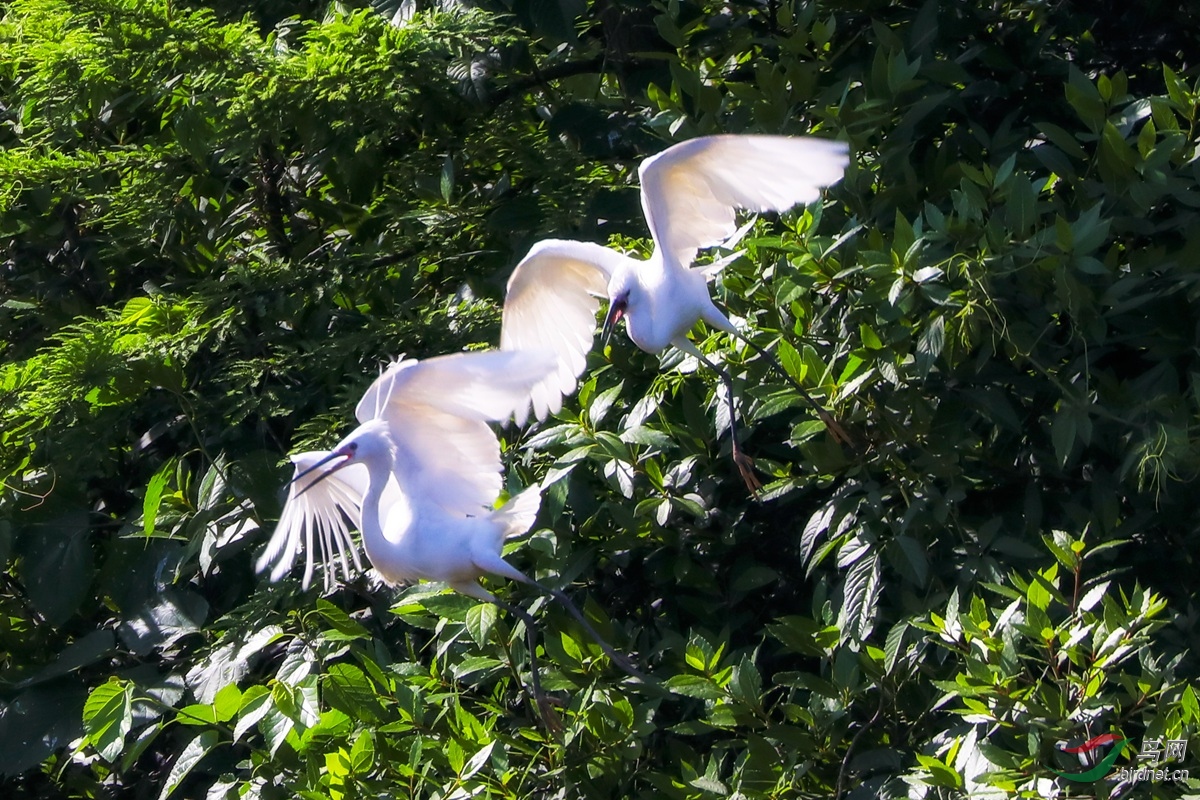 BF1A0570B - ���� - ����06 - ���� - ����.jpg