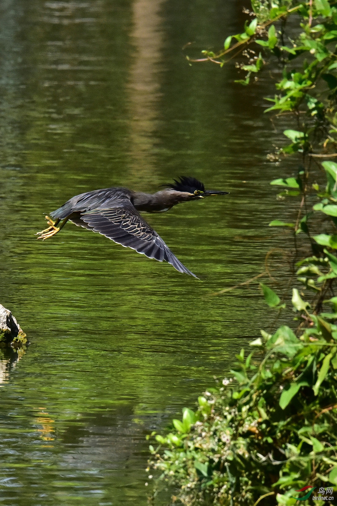 DSC_0280.JPG