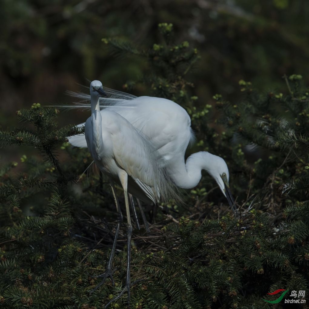 nEO_IMG_DSC_7215.jpg