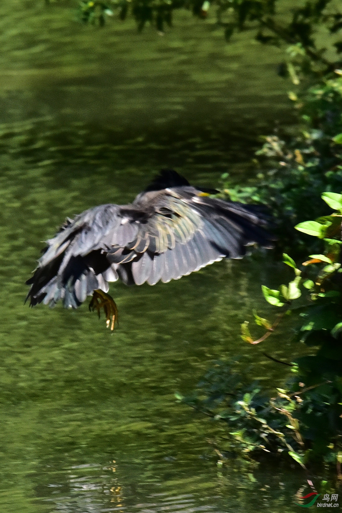 DSC_0282.JPG