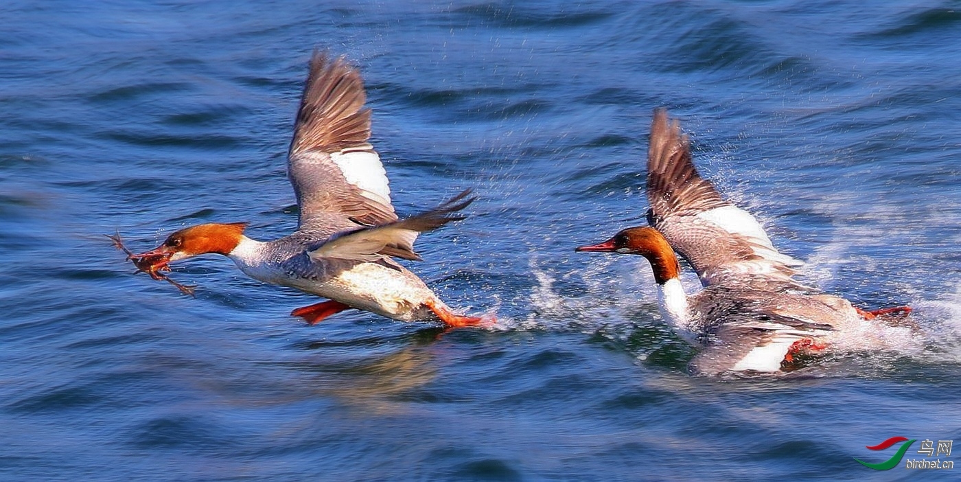 075235ccw0879u9n0pcus6 (1).jpg