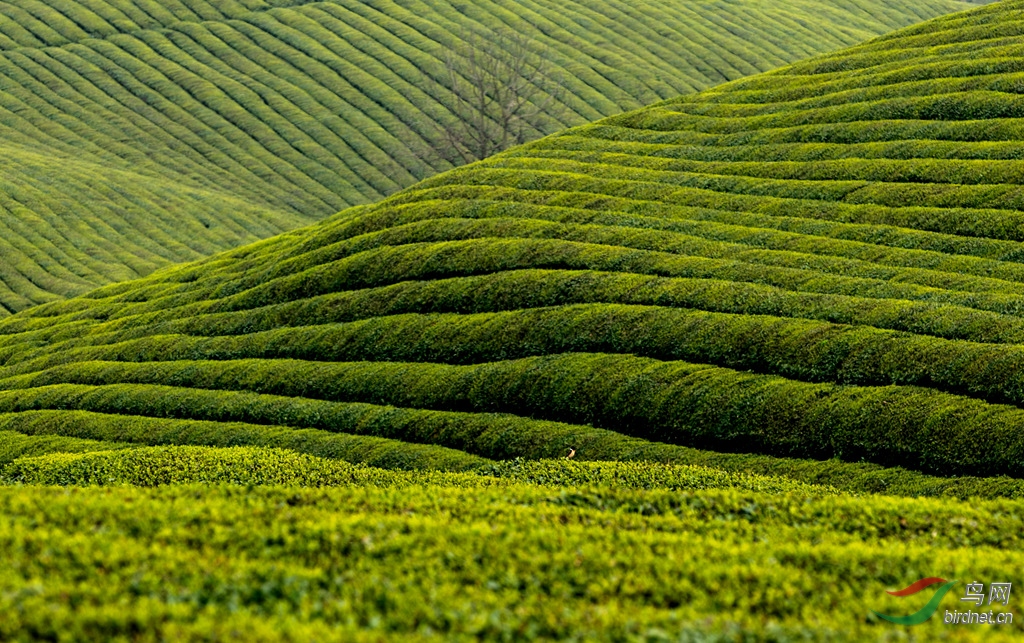 AK8I7900  01_����.jpg