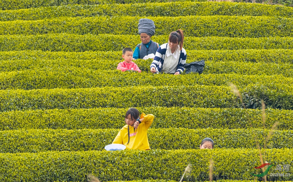 AK8I7908 001_����.jpg