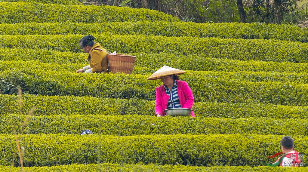 AK8I7908 002_����.jpg