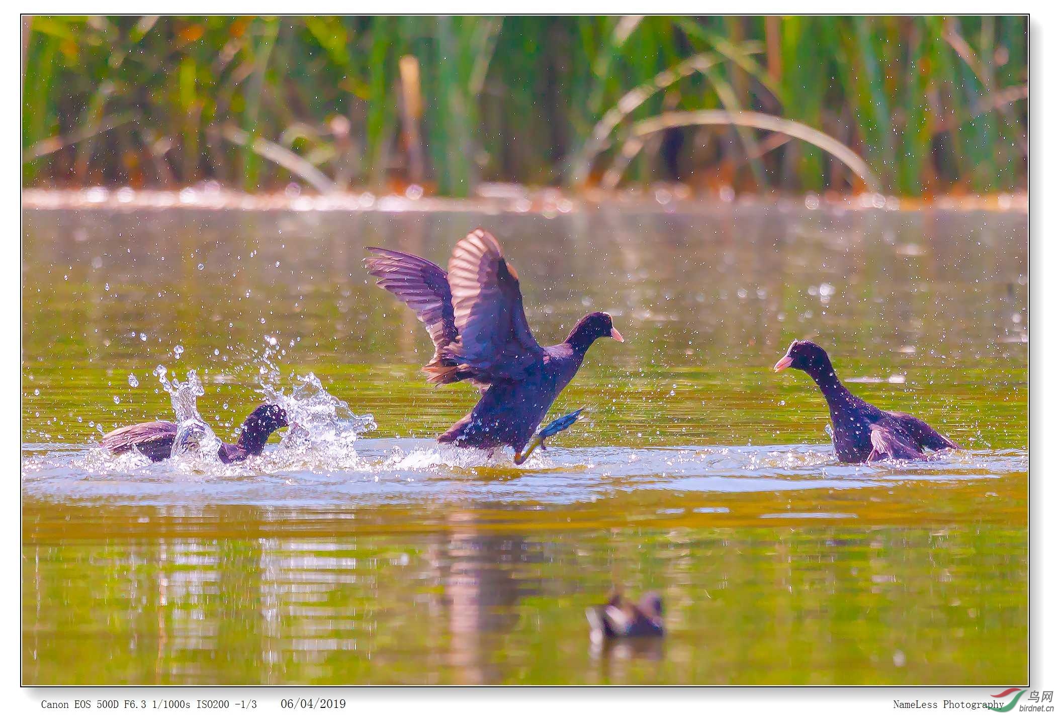 IMG_0306 ����.jpg