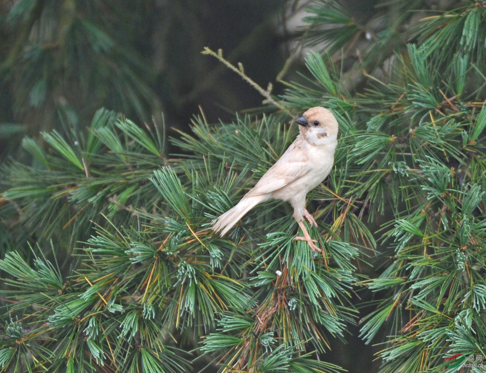 DSC_56041.jpg