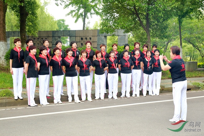 4956 .jpg