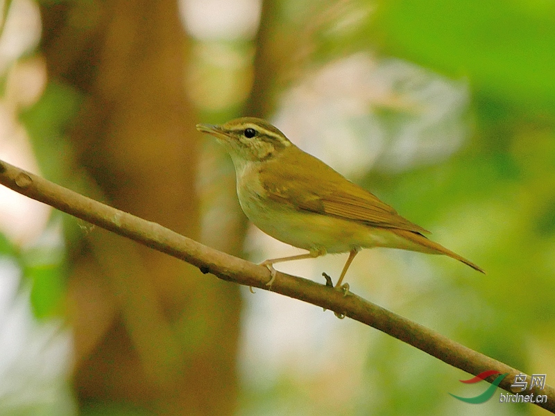 P2410097 - ����.JPG