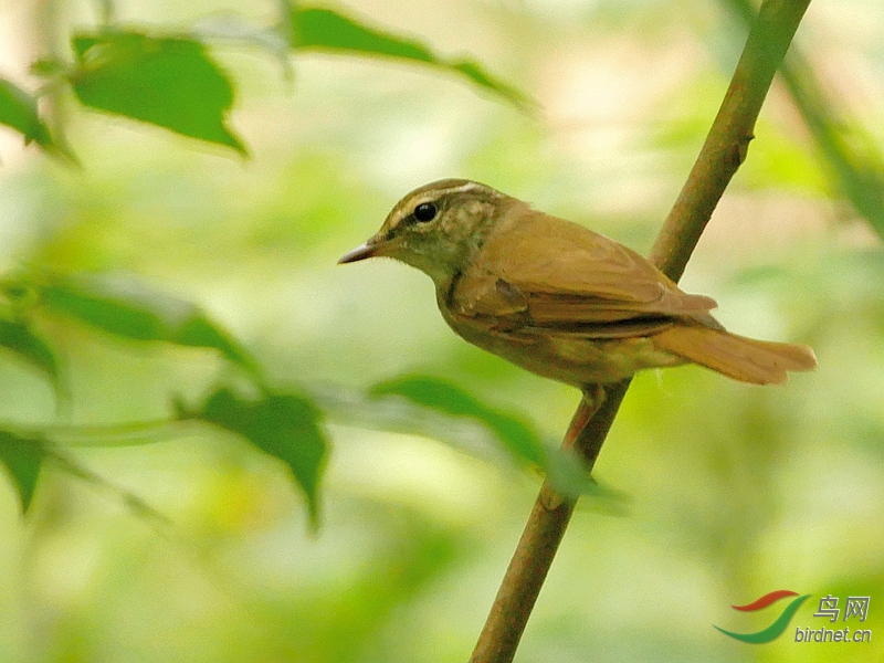 P2500429 - ����.JPG