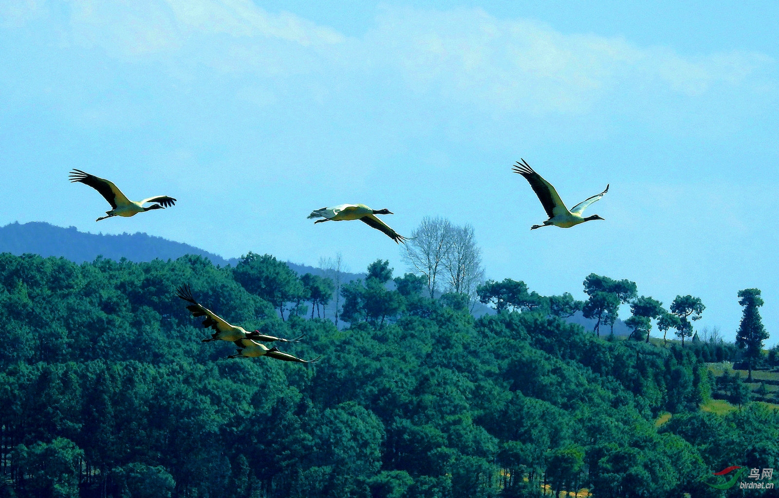 �῵2018.3.4�ݺ� 662.jpg