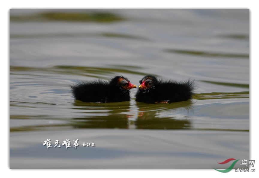 A1D_2886_����.jpg
