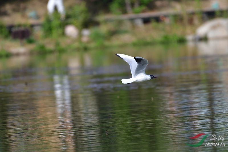 9IB_8536_00010_����.jpg