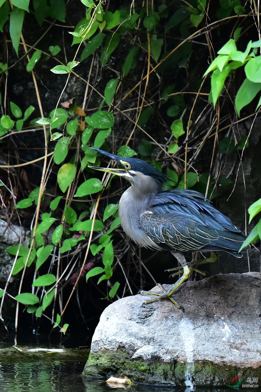 DSC_0296.JPG