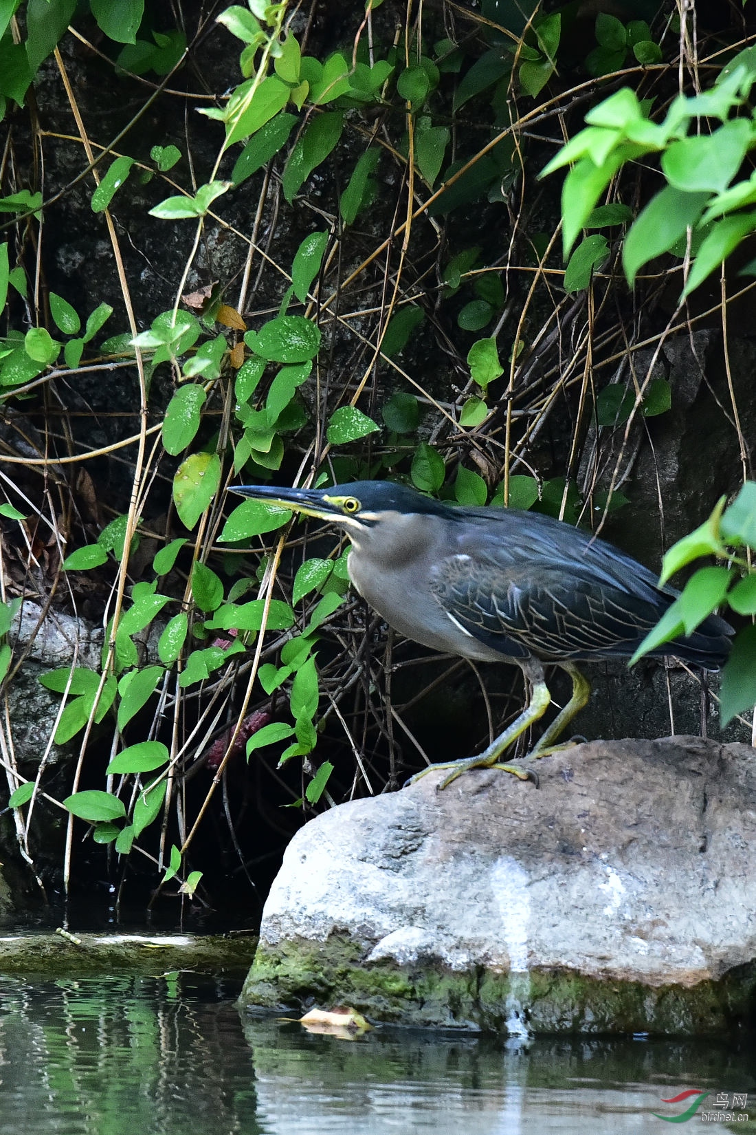 DSC_0297.JPG