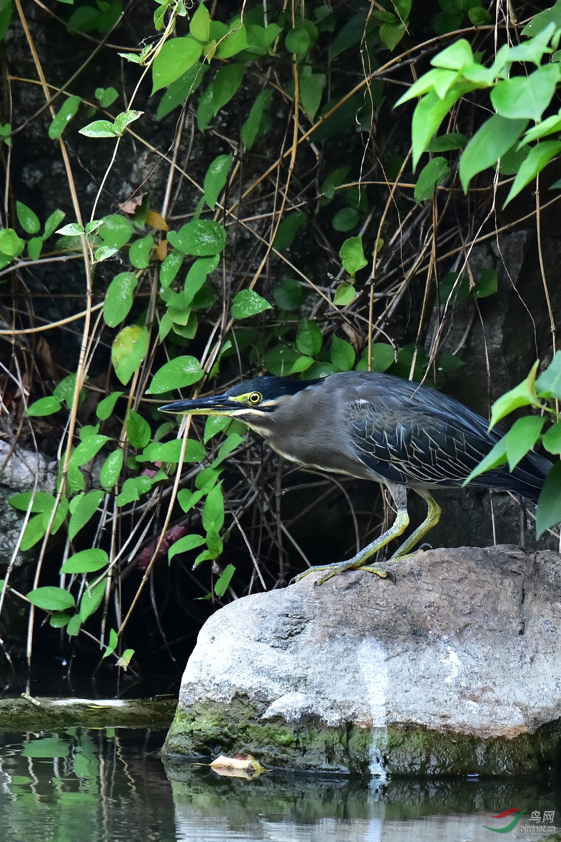 DSC_0298.JPG