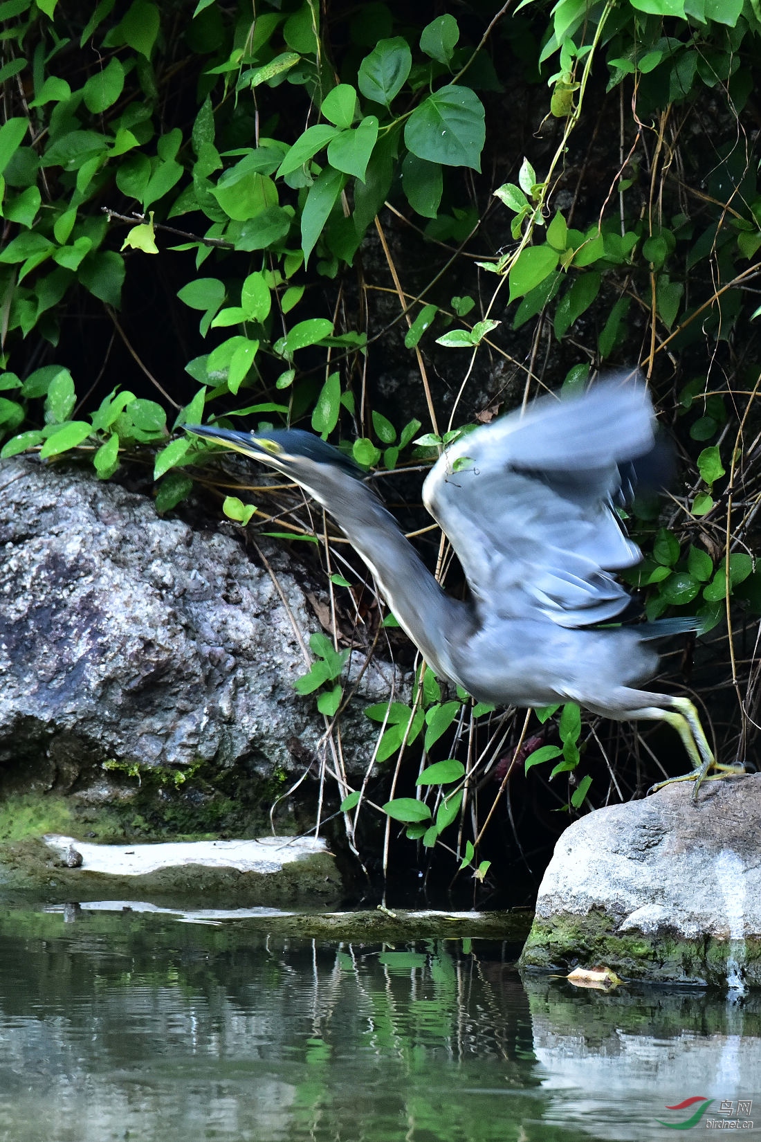 DSC_0299.JPG