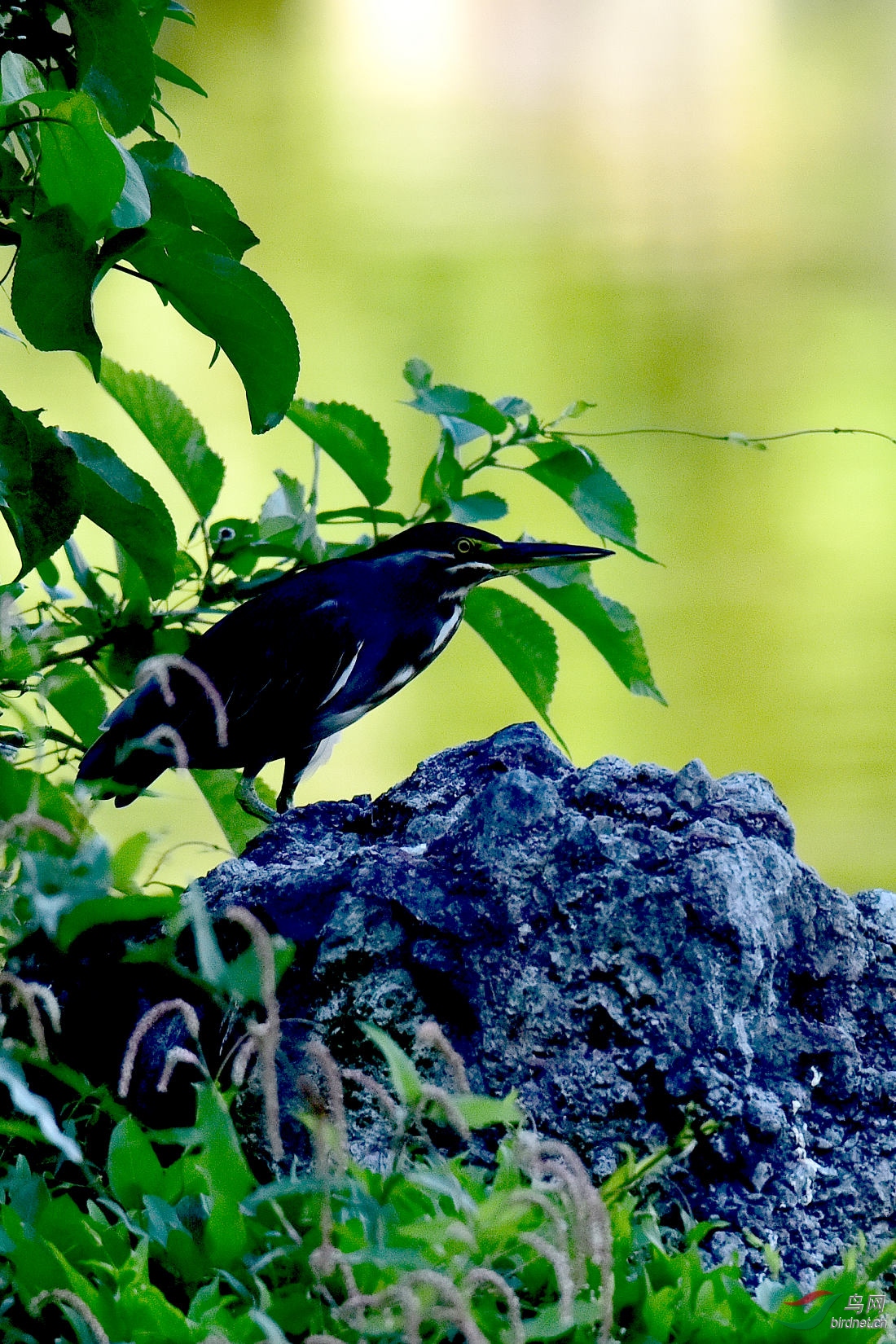 DSC_0301.JPG