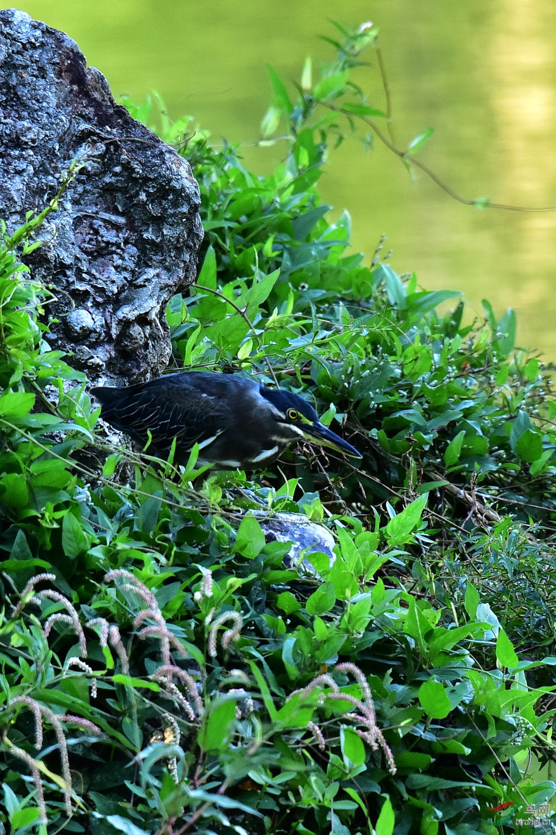 DSC_0303.JPG