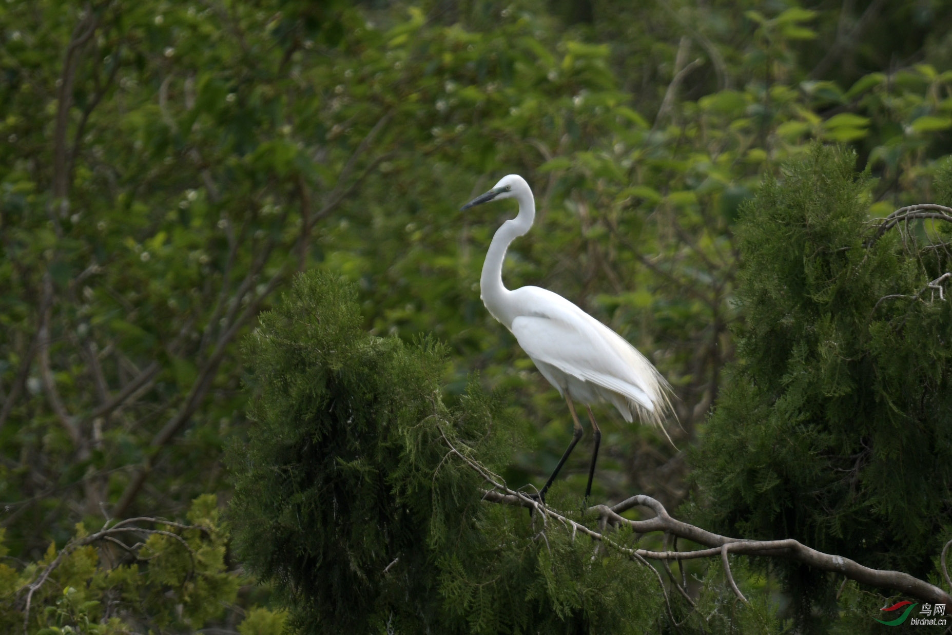 D50_2170.jpg