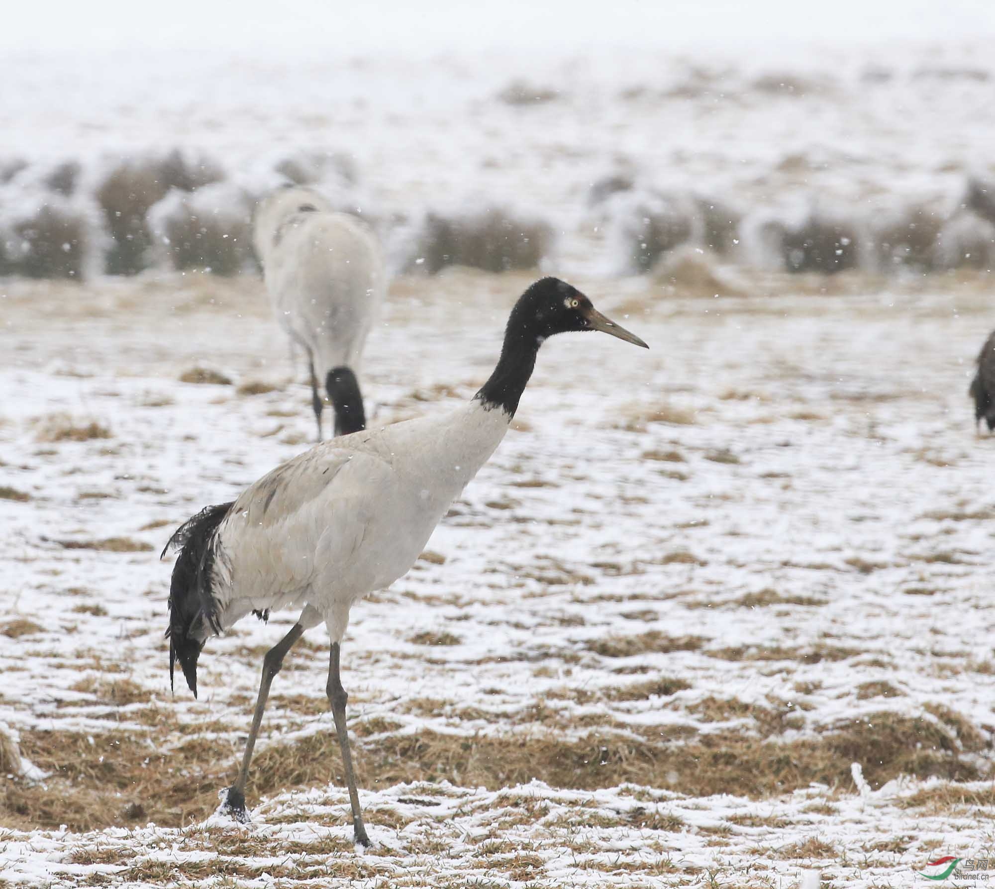 BH7W0213--  (21).jpg